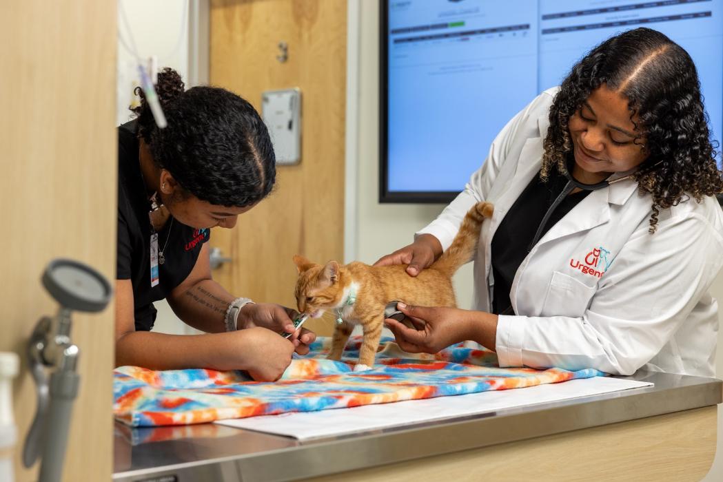 UrgentVet - Humble, TX