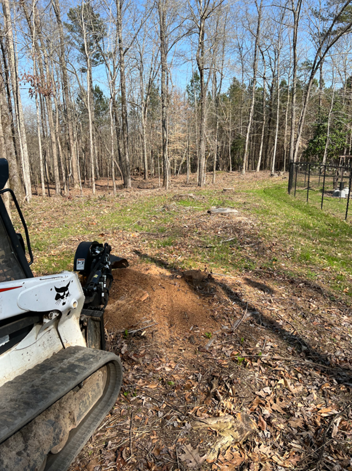 A & B Land Services - Jasper, AL