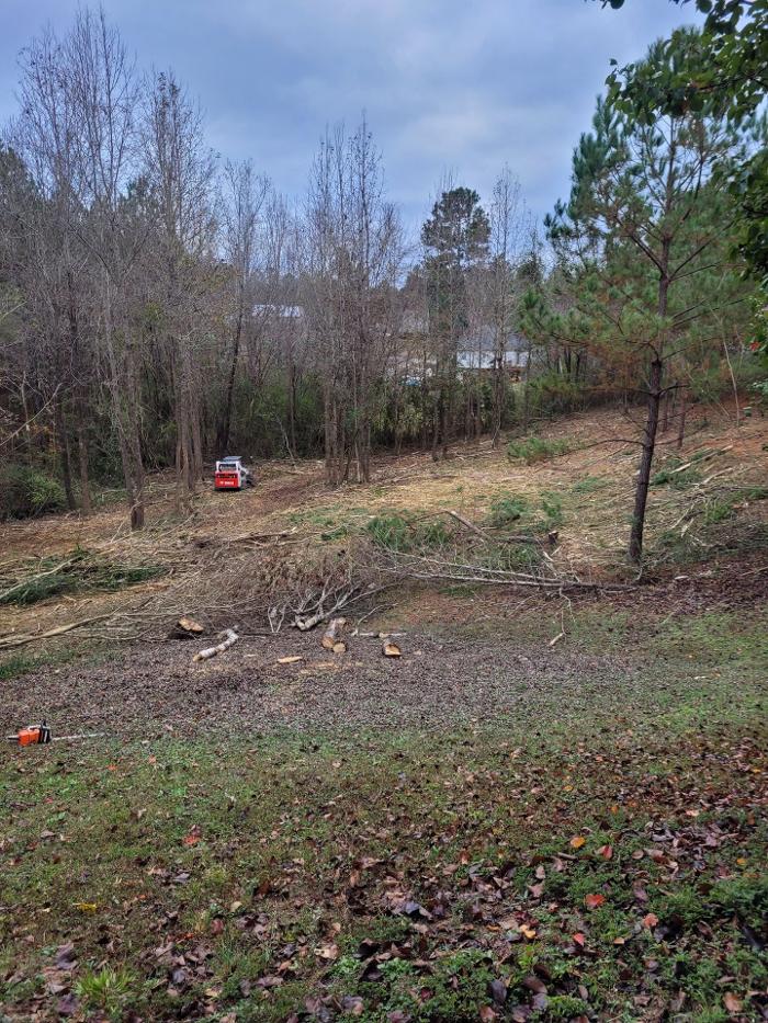 A & B Land Services - Jasper, AL