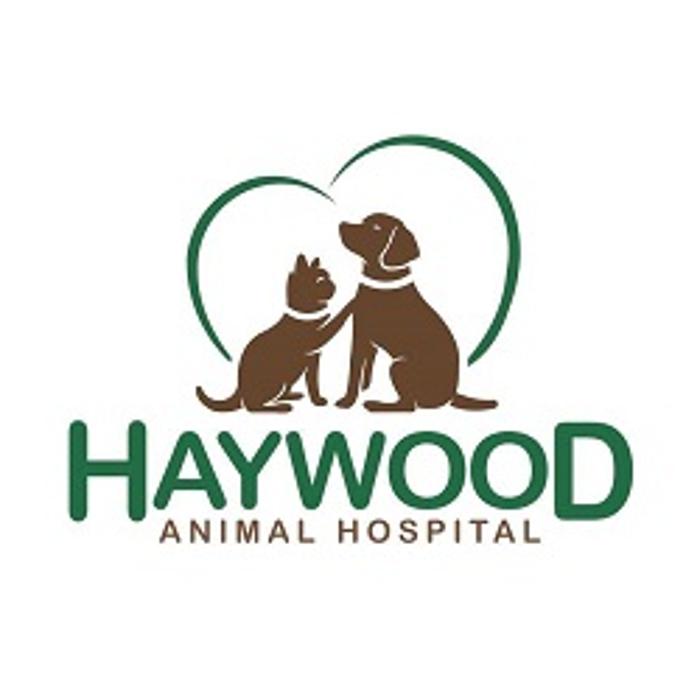 Haywood Animal Hospital - Hendersonville, NC
