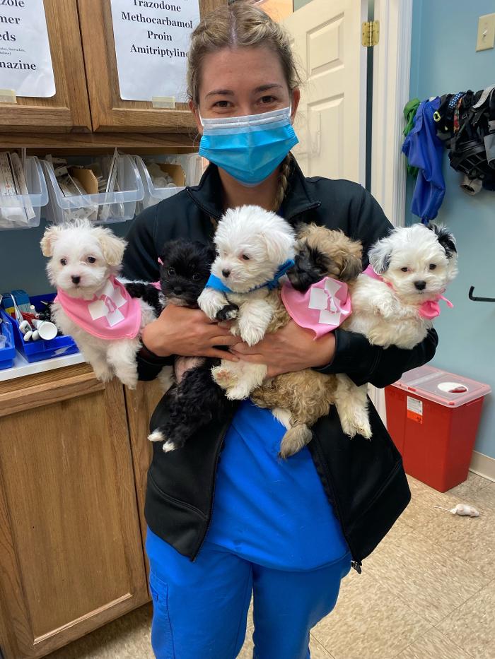 Advanced Animal Care Berea - Berea, KY