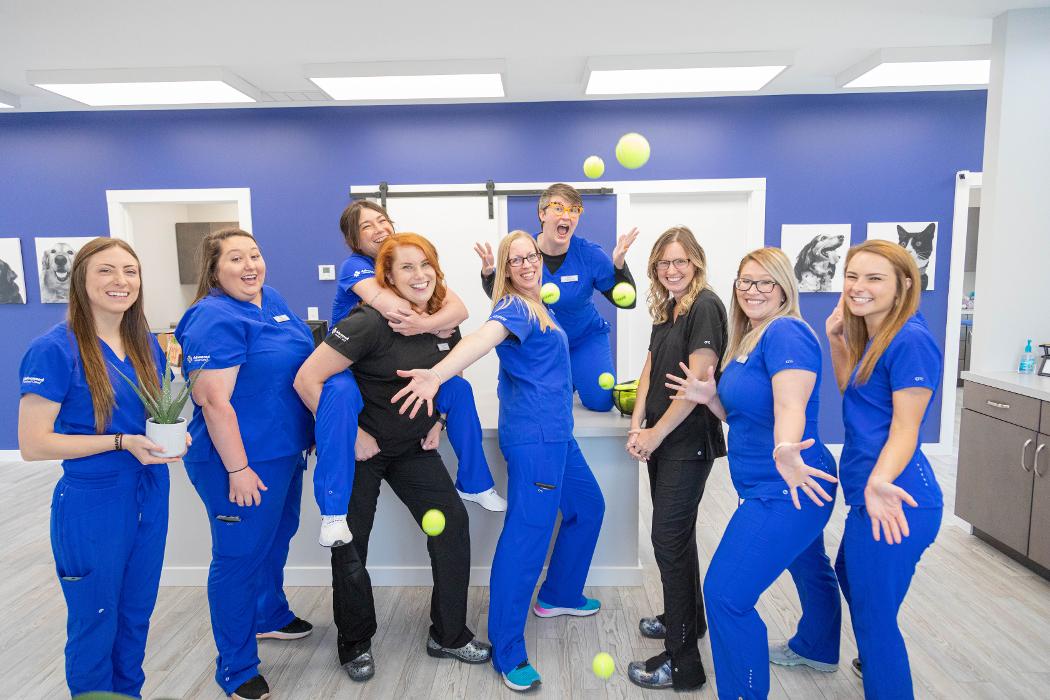 Advanced Animal Care Berea - Berea, KY