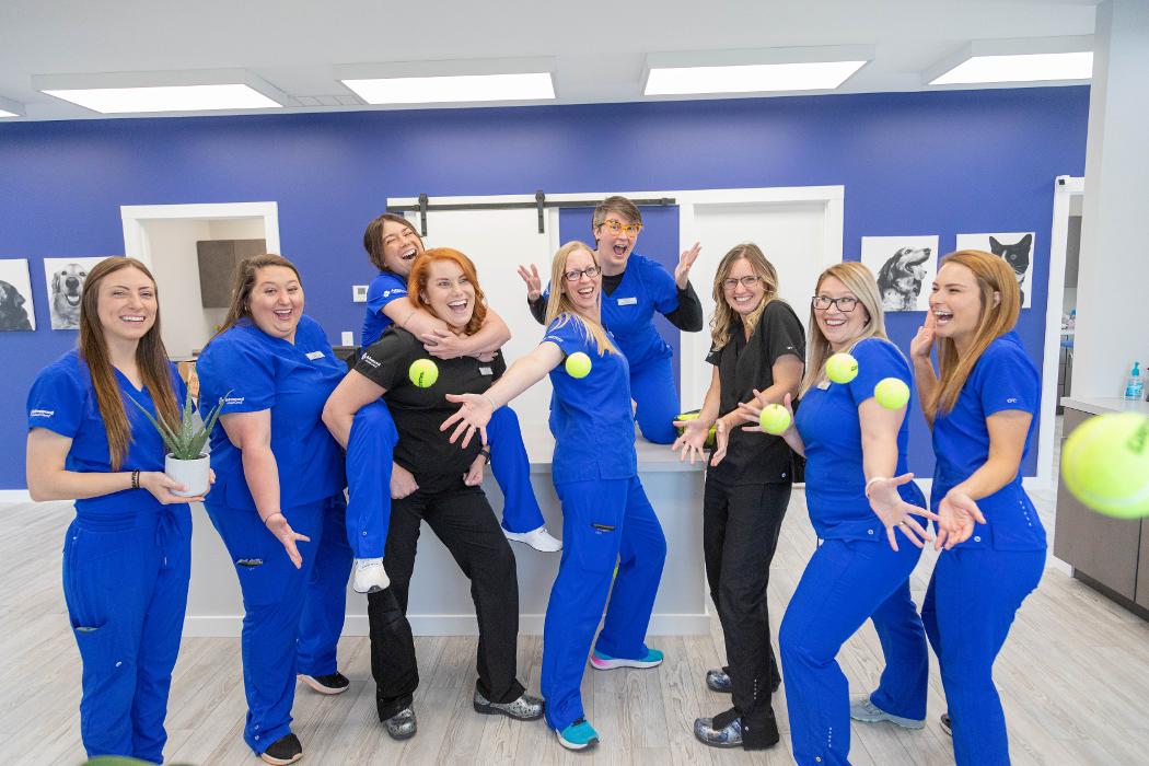 Advanced Animal Care Berea - Berea, KY