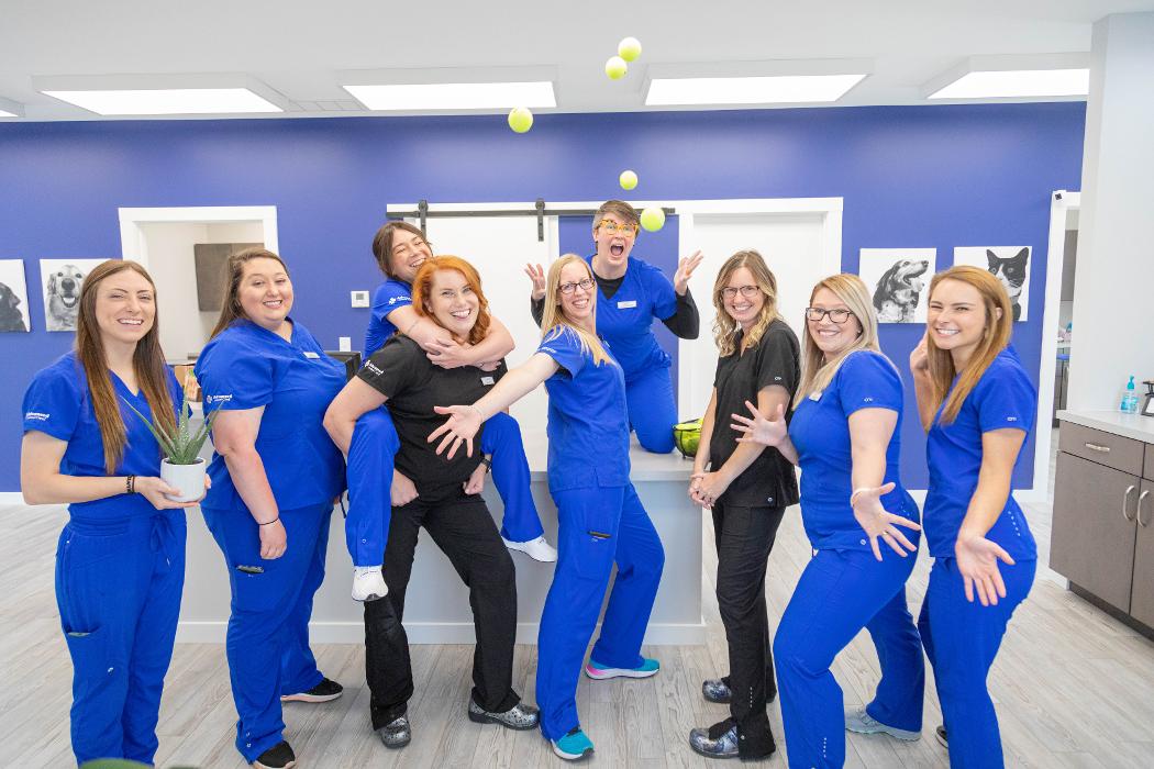 Advanced Animal Care Berea - Berea, KY