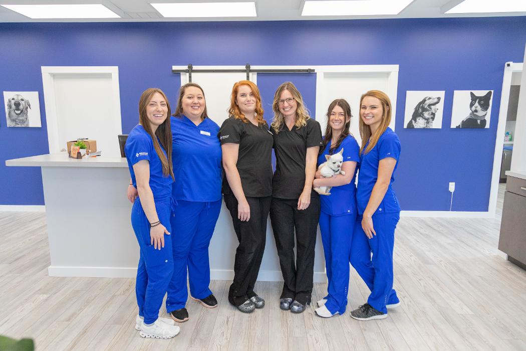 Advanced Animal Care Berea - Berea, KY