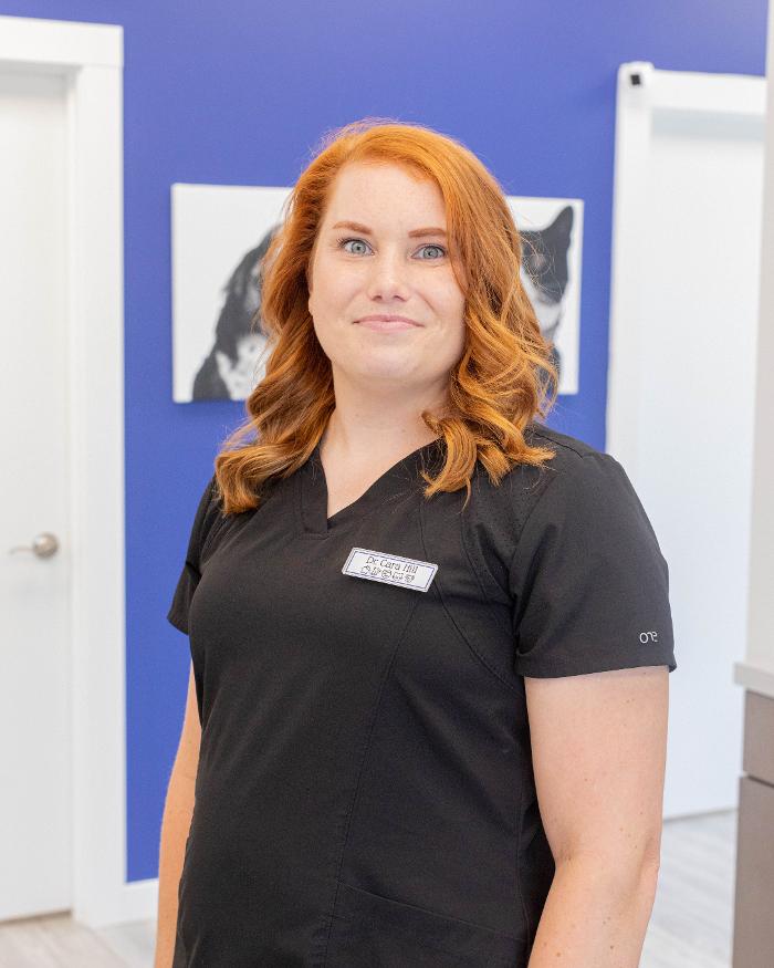 Advanced Animal Care Berea - Berea, KY