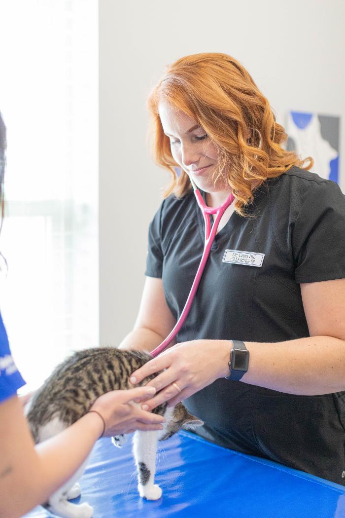 Advanced Animal Care Berea - Berea, KY