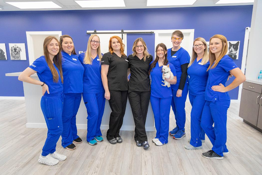 Advanced Animal Care Berea - Berea, KY