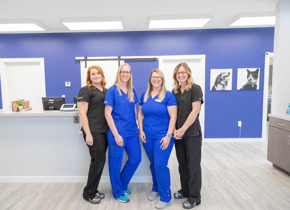 Advanced Animal Care Berea - Berea, KY