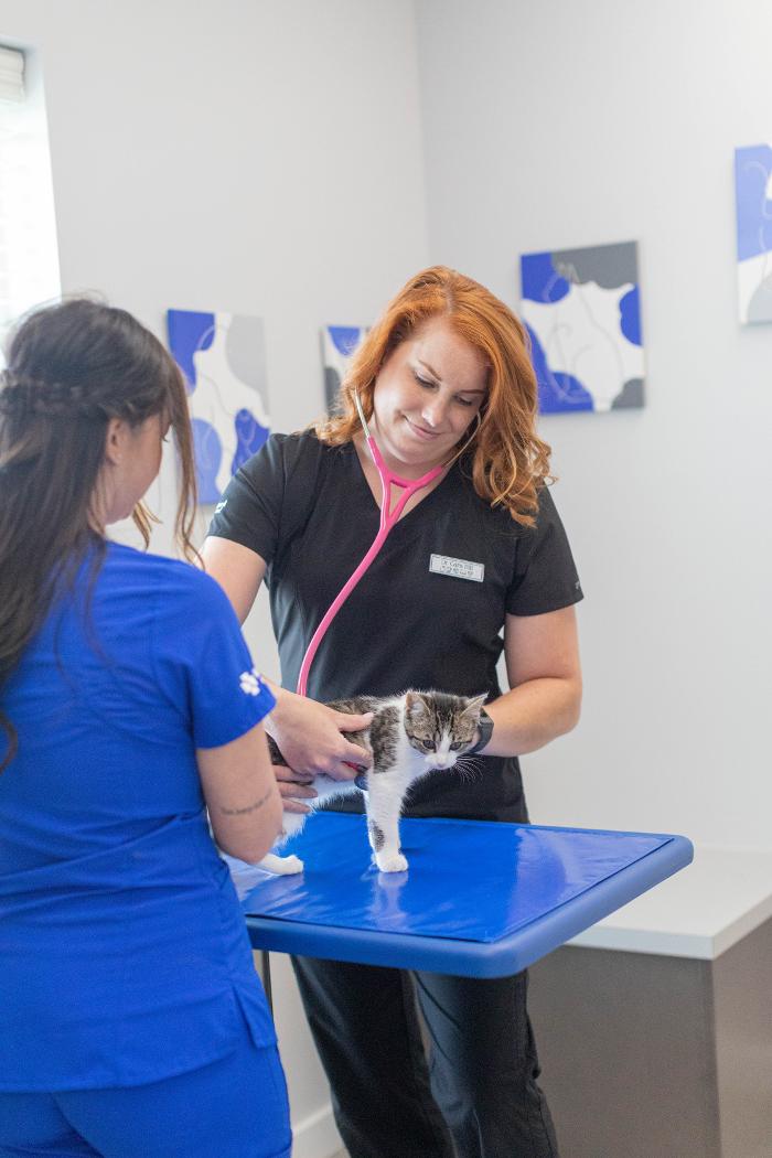 Advanced Animal Care Berea - Berea, KY