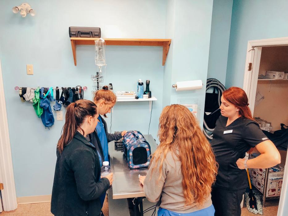 Advanced Animal Care Berea - Berea, KY