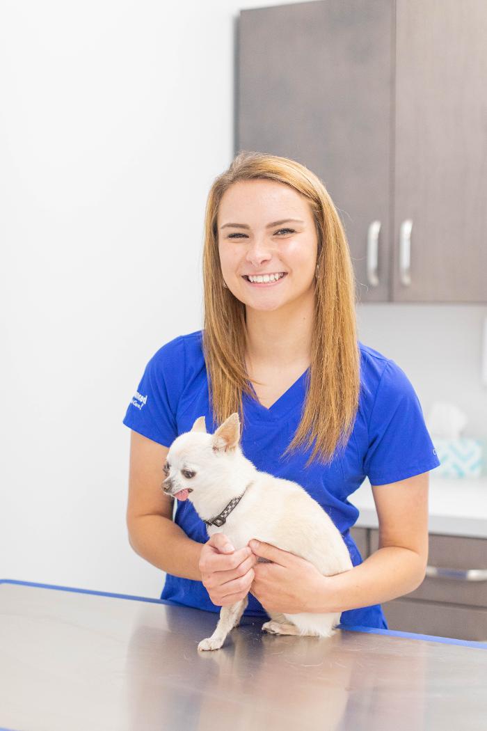 Advanced Animal Care Berea - Berea, KY