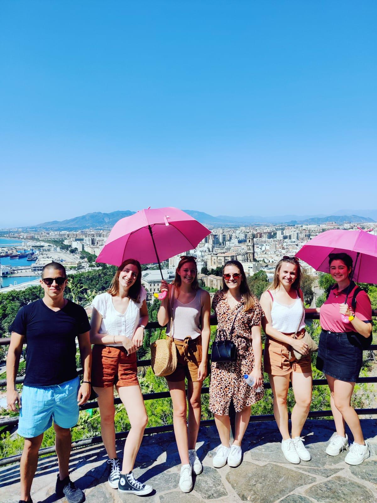 Galería en miniatura