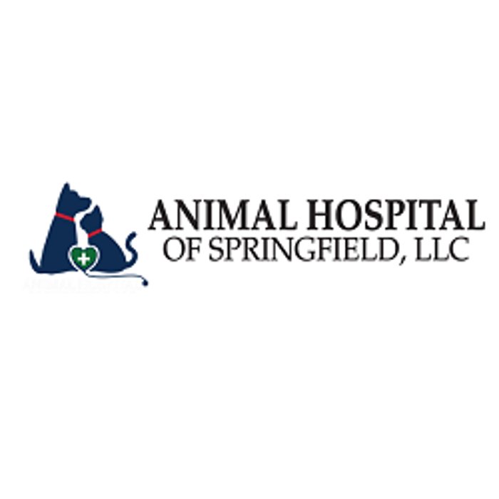 Animal Hospital of Springfield, LLC - Springfield, IL