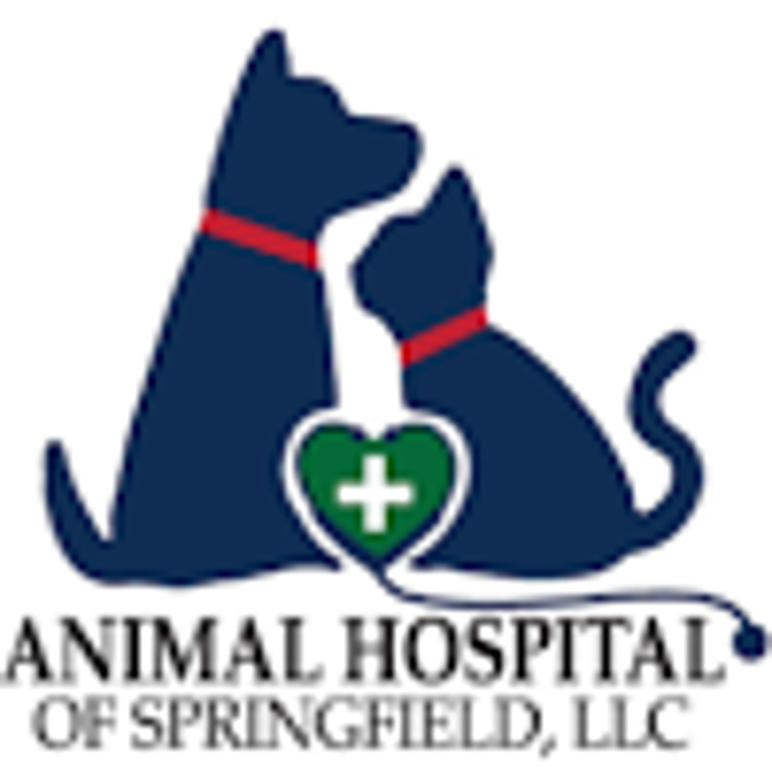 Animal Hospital of Springfield, LLC - Springfield, IL