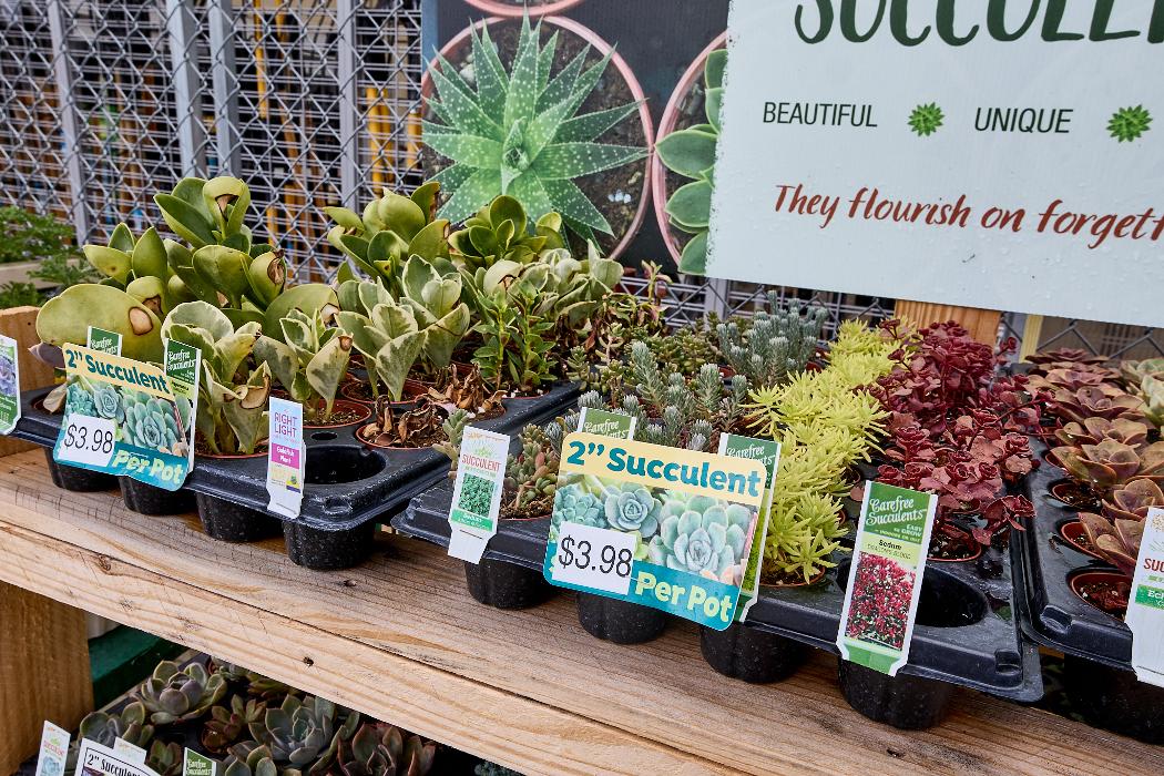 Tractor Supply Co. Image