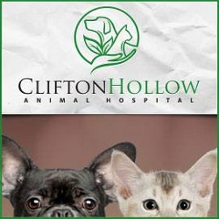 Clifton Hollow Animal Hospital