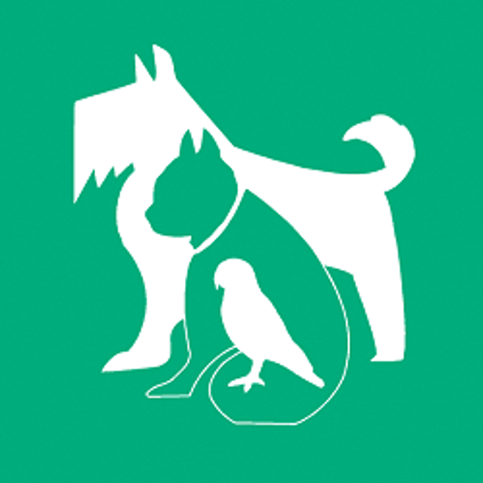 County Animal Hospital