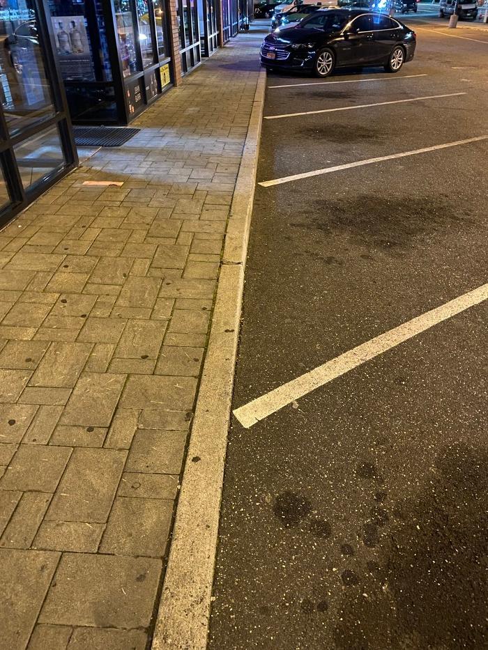 Litter Free Lots - Howard Beach, NY