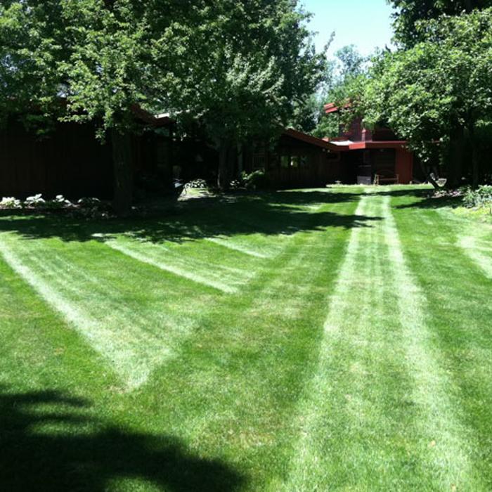 Mikey's Mowing Inc Image
