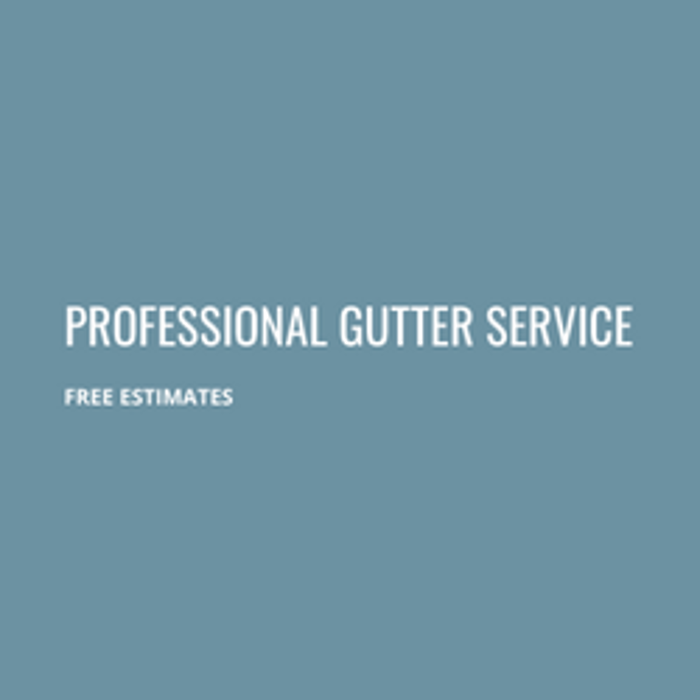 Professional Gutter Service Image