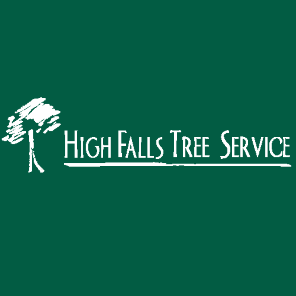 Image 2 | High Falls Tree Service LLC