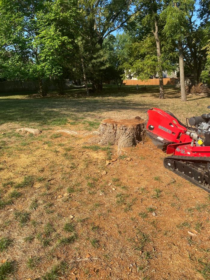Stumpmaster Stump Grinding - Olathe, KS