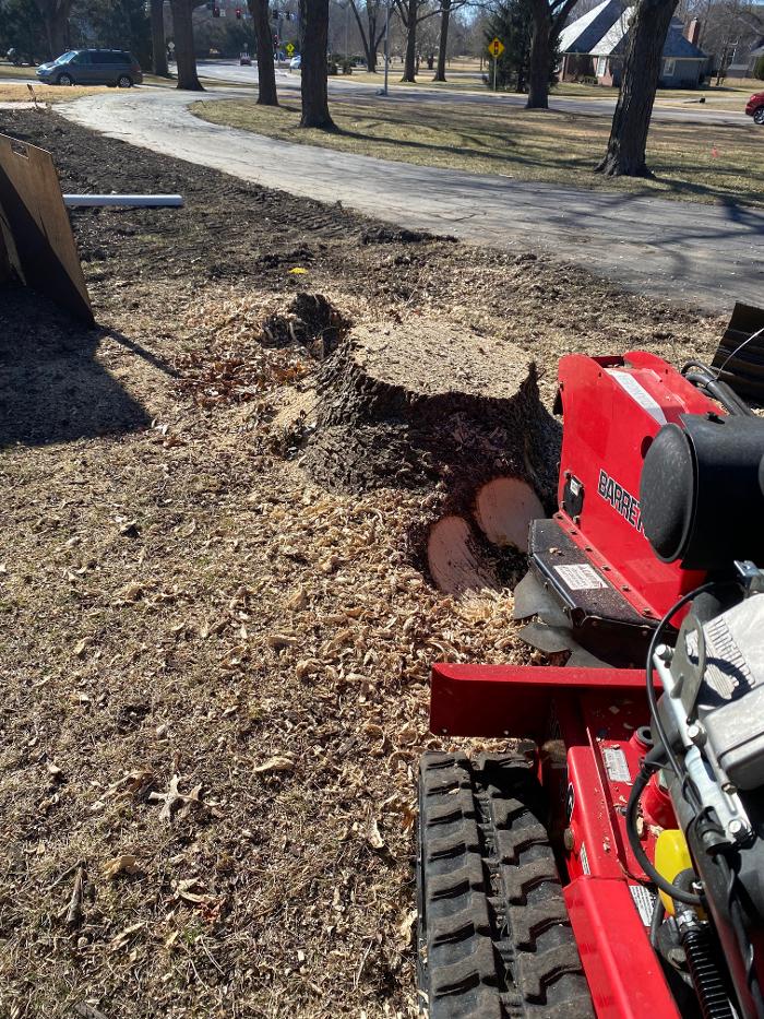 Stumpmaster Stump Grinding - Olathe, KS