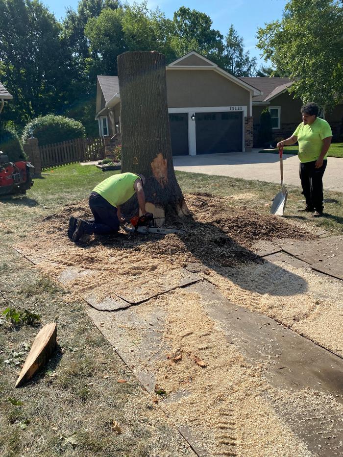 Stumpmaster Stump Grinding - Olathe, KS