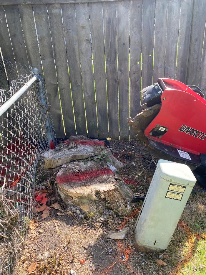Stumpmaster Stump Grinding - Olathe, KS