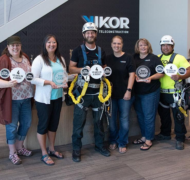 VIKOR Teleconstruction Image