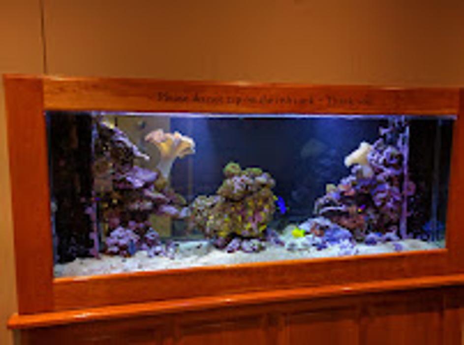 Provo Pediatric Dentistry - Provo, UT