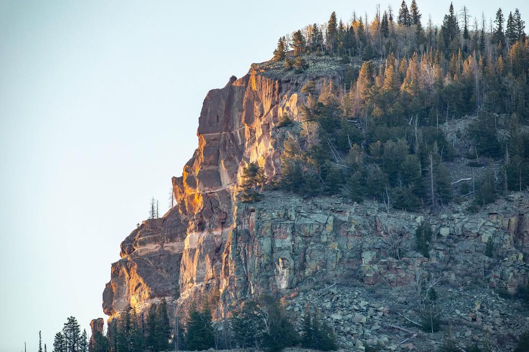 Rainbow Trout Ranch Image