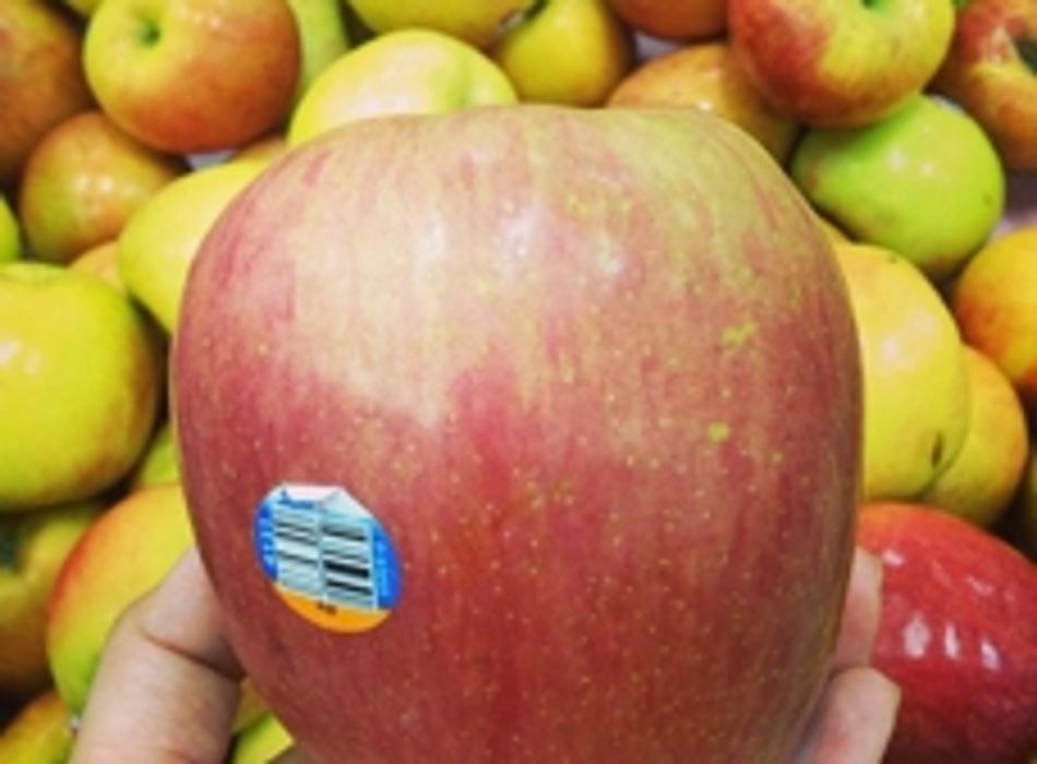 Arirang Total Cosmetics: Korean Beauty Supplies & Cosmetics - Garden Grove, CA