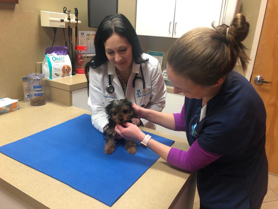 Hamilton Ridge Animal Hospital Image