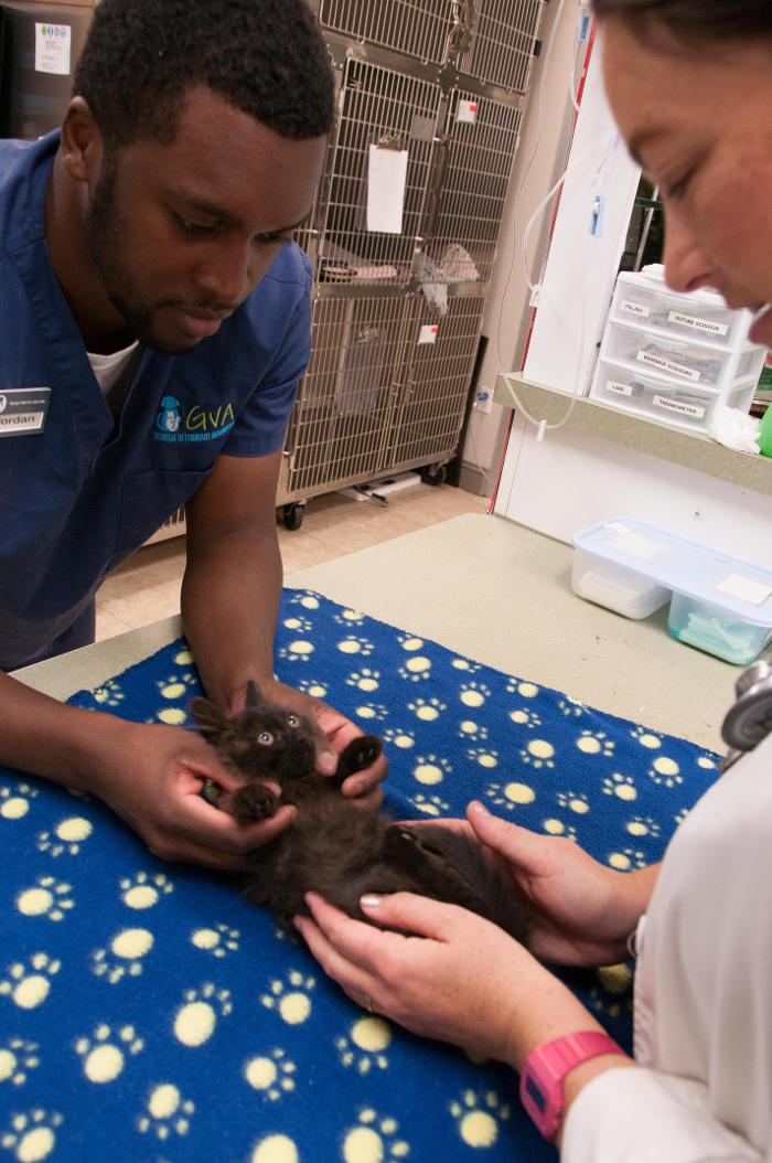 Hamilton Ridge Animal Hospital Image