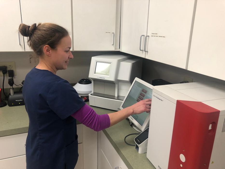 Hamilton Ridge Animal Hospital Image