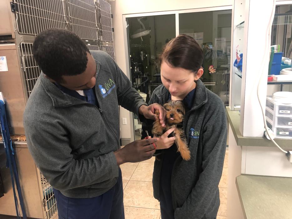 Hamilton Ridge Animal Hospital Image