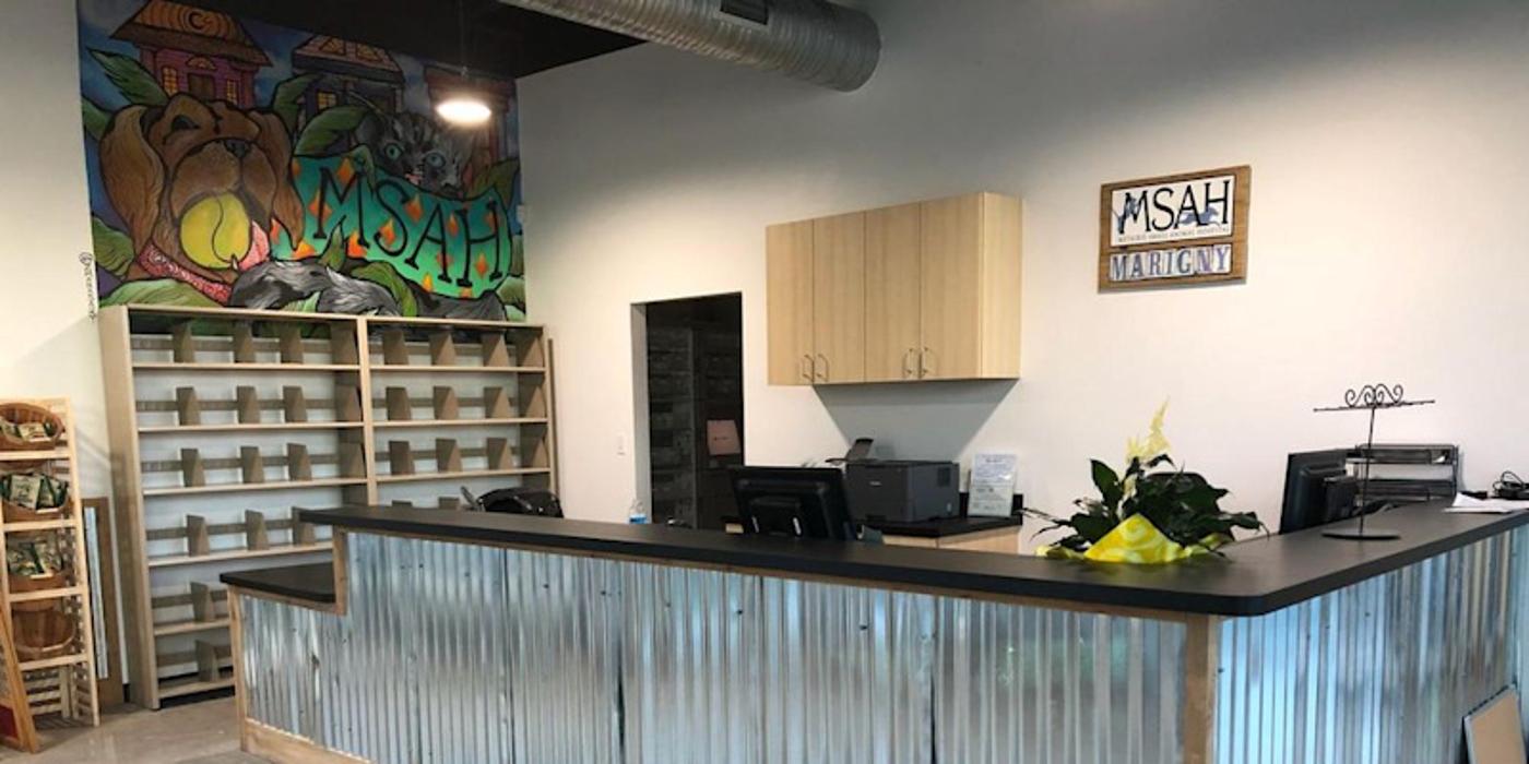 Metairie Small Animal Hospital - Marigny Clinic - New Orleans, LA