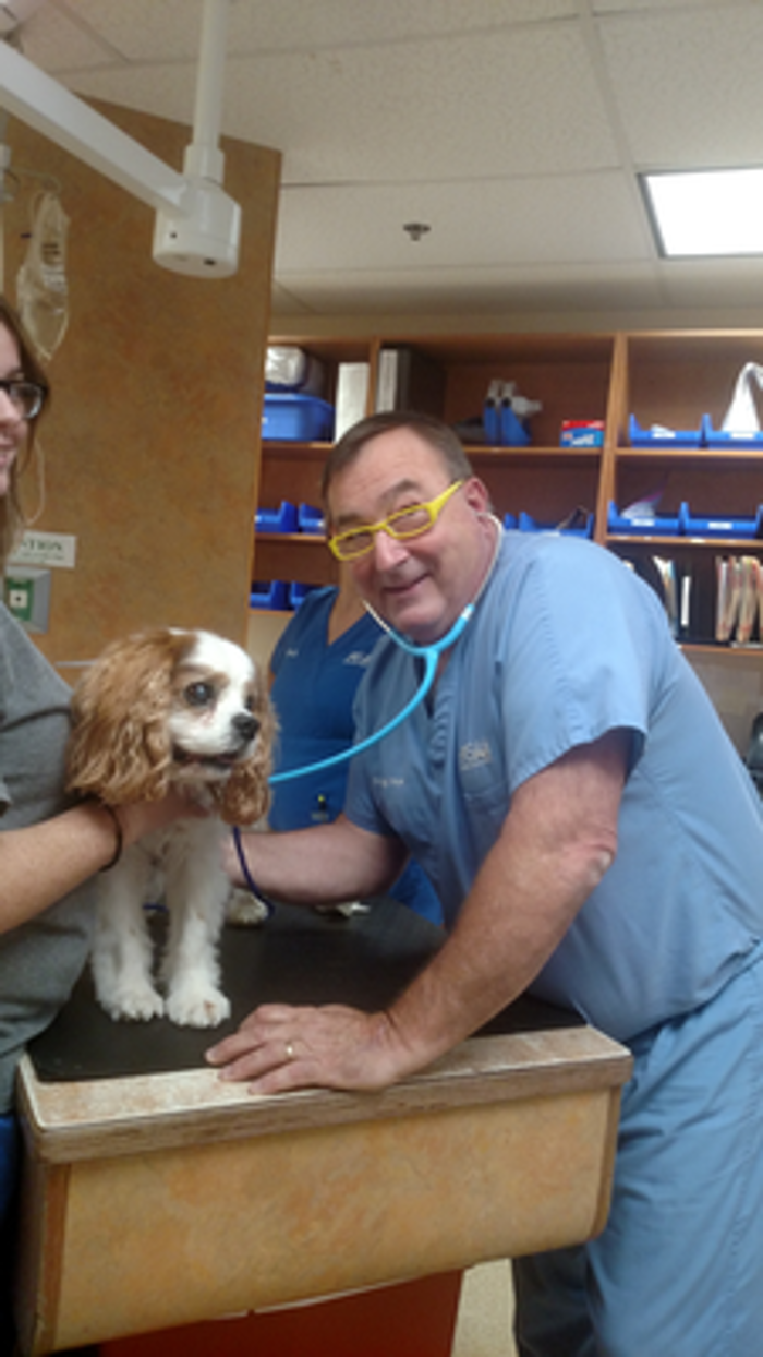 Metairie Small Animal Hospital - Kenner Clinic - Kenner, LA