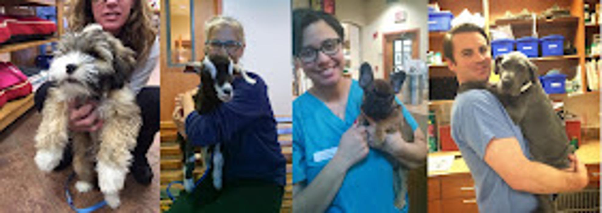 Metairie Small Animal Hospital - Kenner Clinic - Kenner, LA