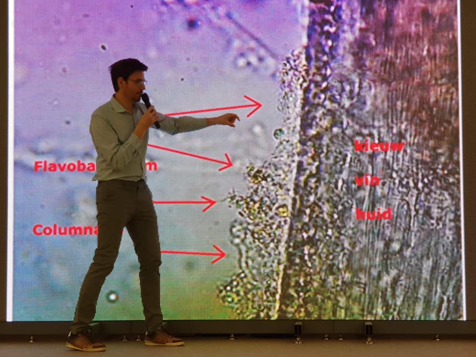 Miniature de la galerie