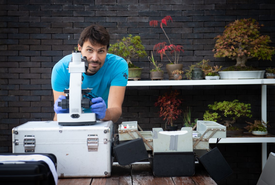 Miniature de la galerie