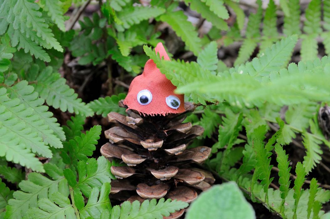 Naturwaldkinder, Bergstraße in Wegberg