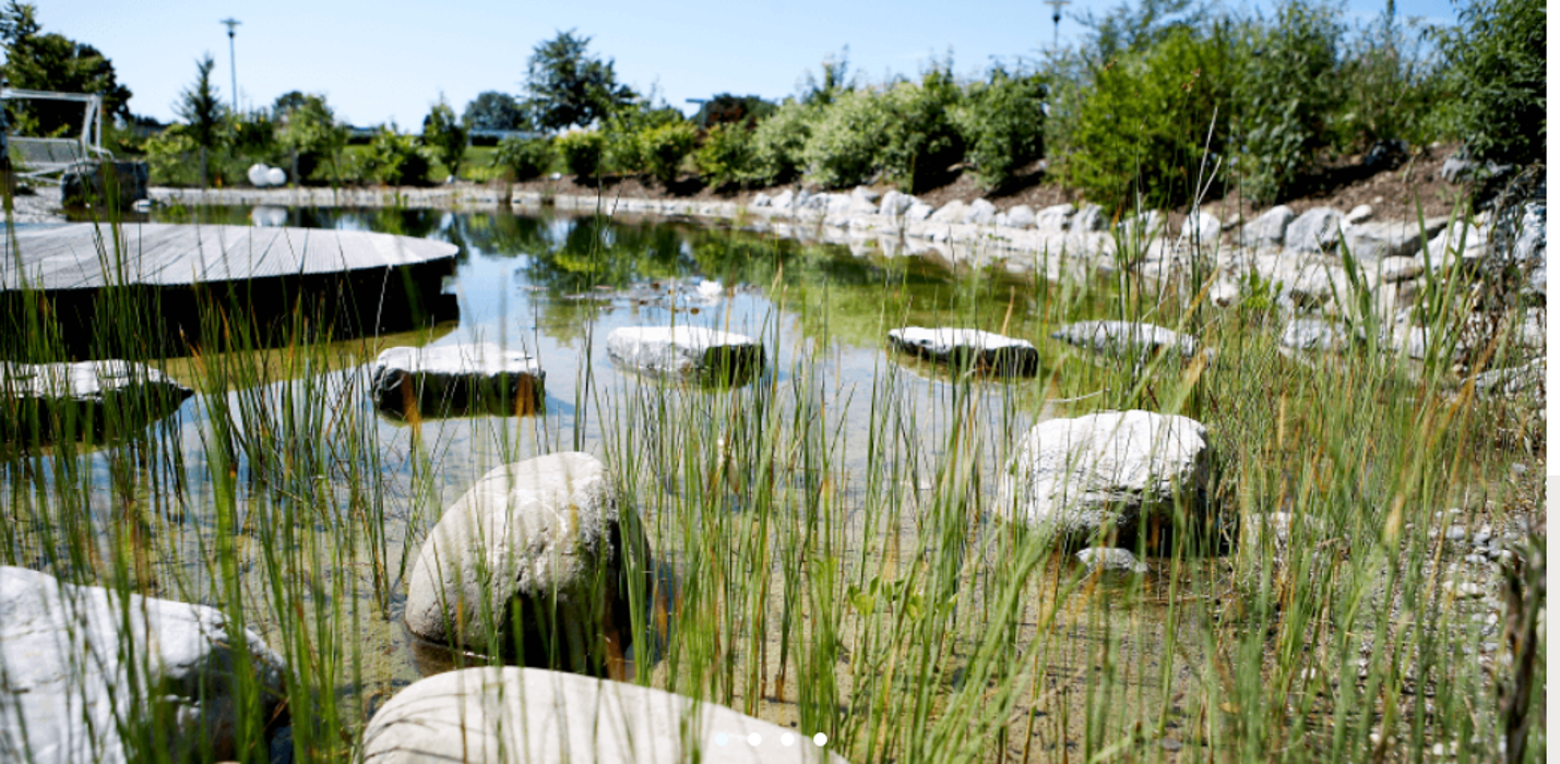 Form & Pflanze Garten- und Landschaftsbau, Kirchstraße in Leutkirch im Allgäu