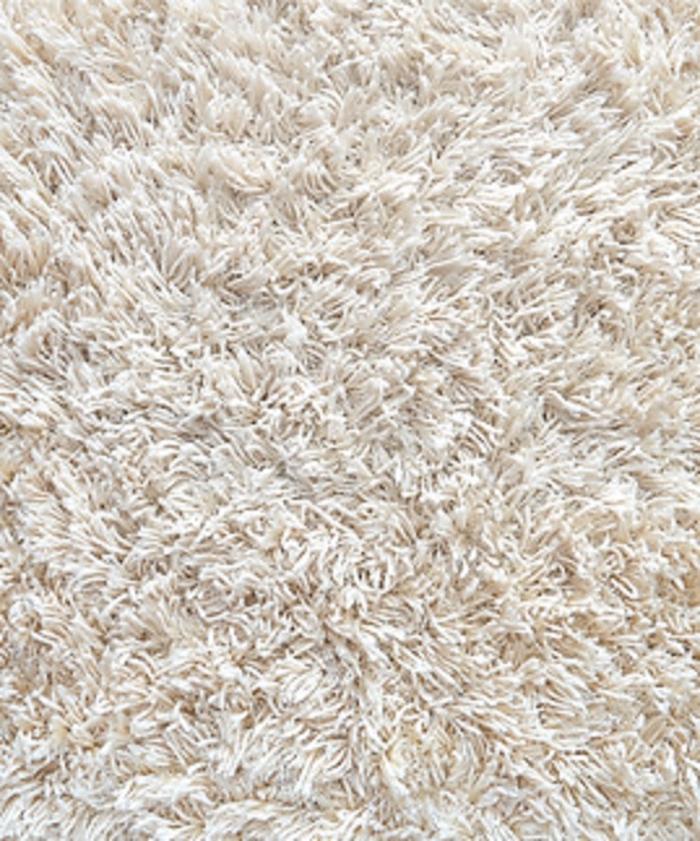 Westside Carpet Cleaners LLC - Surprise, AZ