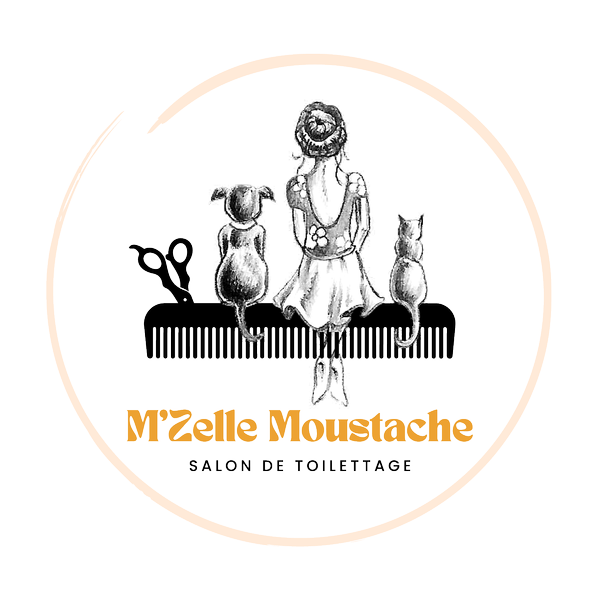 M'ZELLE MOUSTACHE toilettage de chien et chat