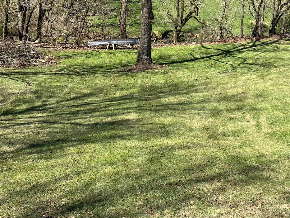 Three Bears Lawn Care - Kingsport, TN