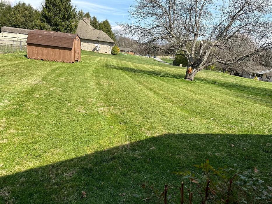 Three Bears Lawn Care - Kingsport, TN