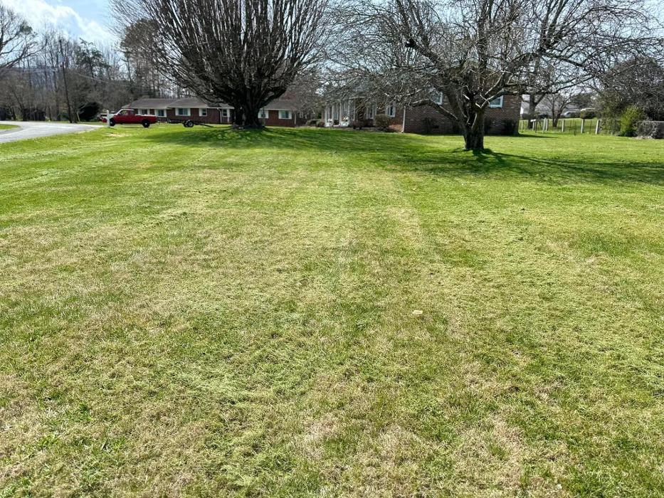 Three Bears Lawn Care - Kingsport, TN